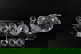 item-210509793=10