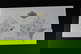 item-210509793=4