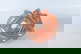 item-210509801=7