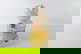 item-210509905=11