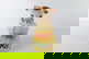 item-210509905=8