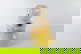 item-210509905=9