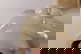 item-210509906=8