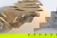 item-210509910=19