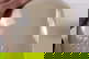 item-210509910=9