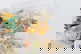 item-210509942=4