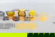 item-210509981=4