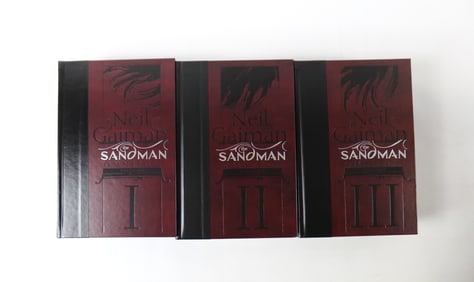 Lot of 3 Neil Gaimen The Sandman Hardcover Books