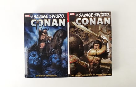 Lot of 2 The Savage Sword of Conan Omnibus Hardcover Books - Vol. 3 & 4