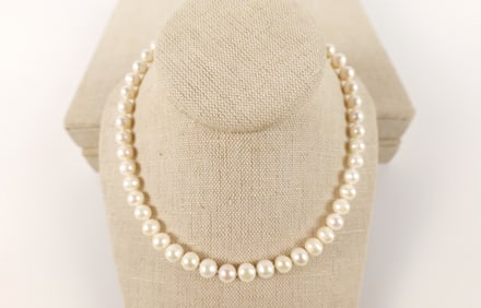 Hand Knotted Strand of Freshwater Pearls