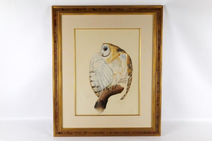 Framed Watercolor Barn Owl by E Darrell Smith