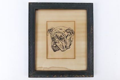 Framed Pen & Ink- Portrait of Bulldog