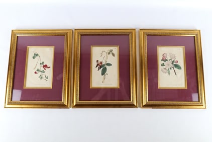 Lot of 3 Victorian Prints