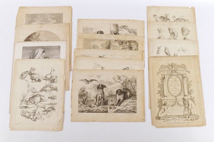 Lot of 17th and 18th Century Book Pages/Engravings