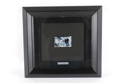 Watercolor by Wyland