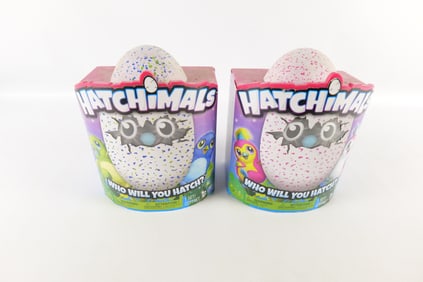 Lot of 2 Hatchimals in Original Boxes