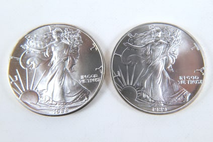 2 Silver Eagle Coins