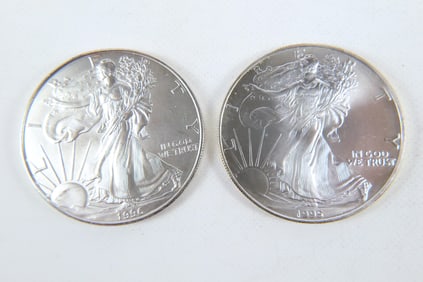 2 Silver Eagle Coins