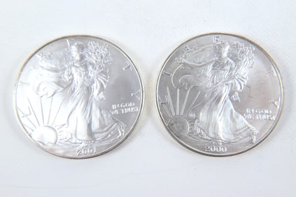 2 Silver Eagle Coins