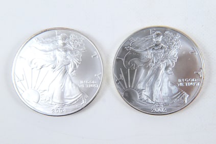 2 Silver Eagle Coins