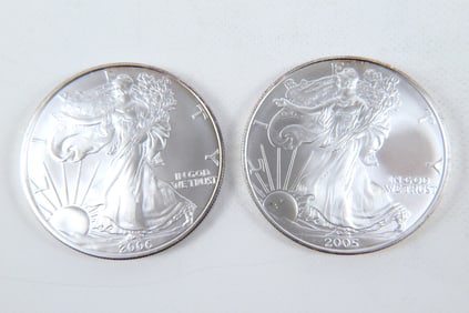2 Silver Eagle Coins