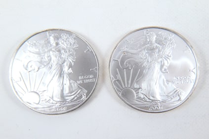 2 Silver Eagle Coins