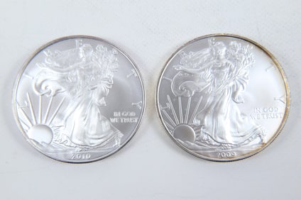 2 Silver Eagle Coins