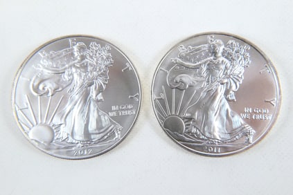 2 Silver Eagle Coins