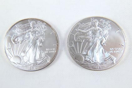 2 Silver Eagle Coins