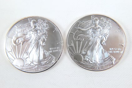 2 Silver Eagle Coins