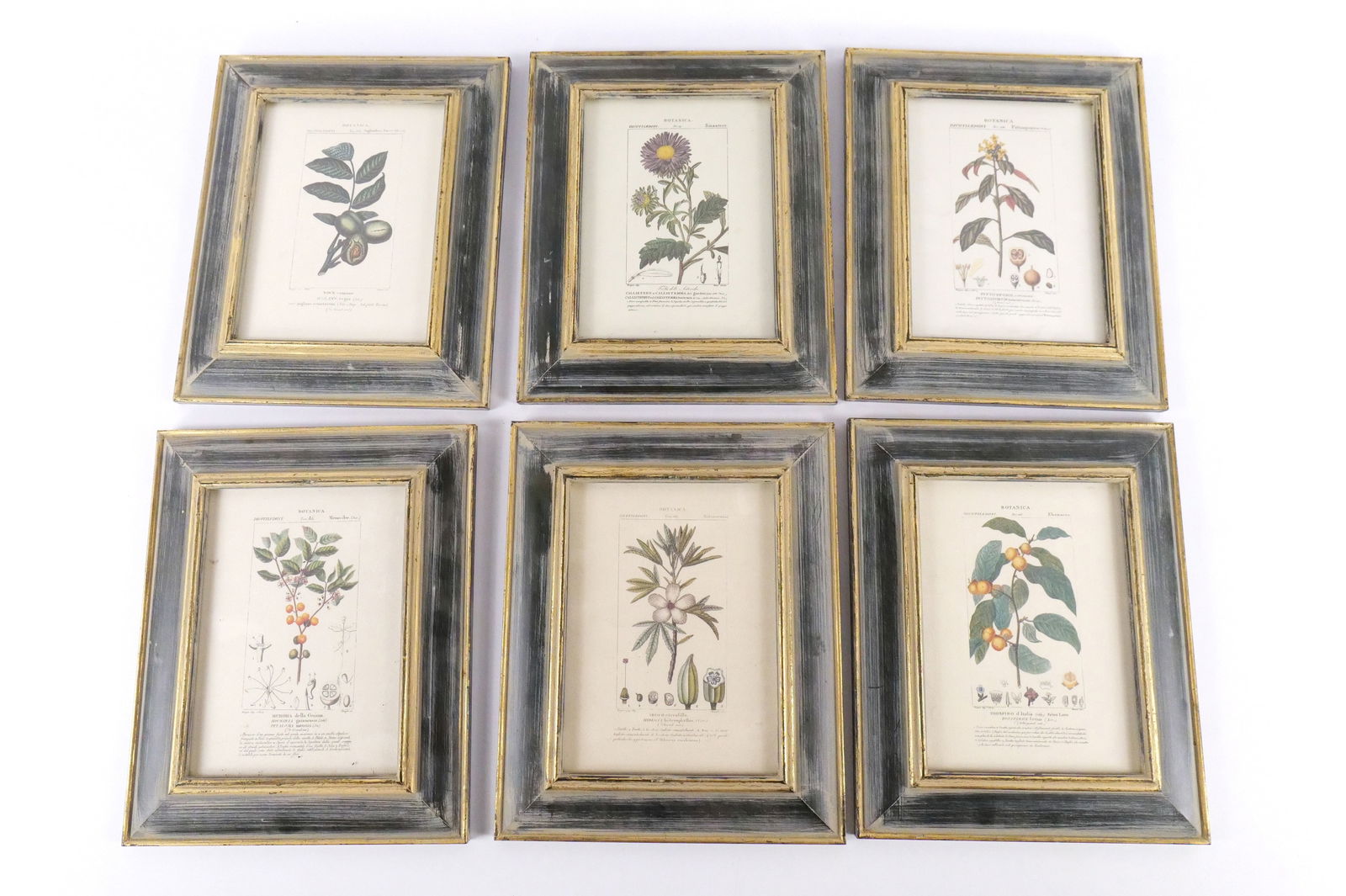 Lot of 6 Framed Botanical Prints (1 of 8)