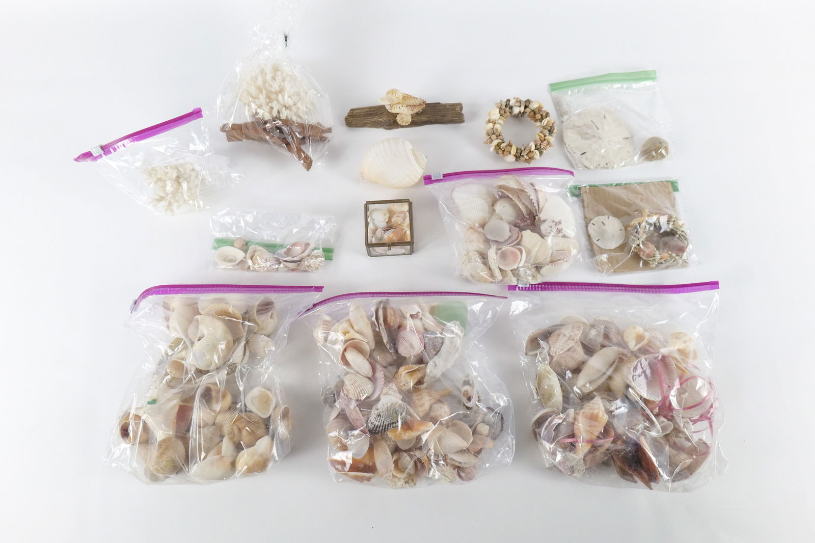 Lot of Coral and Shells: Lot of Coral and Shells. All invoices must be paid within 24 hours of the sale. We offer multiple shipping options, please read the shipping terms to understand your options. We also offer Pick-Ups ar