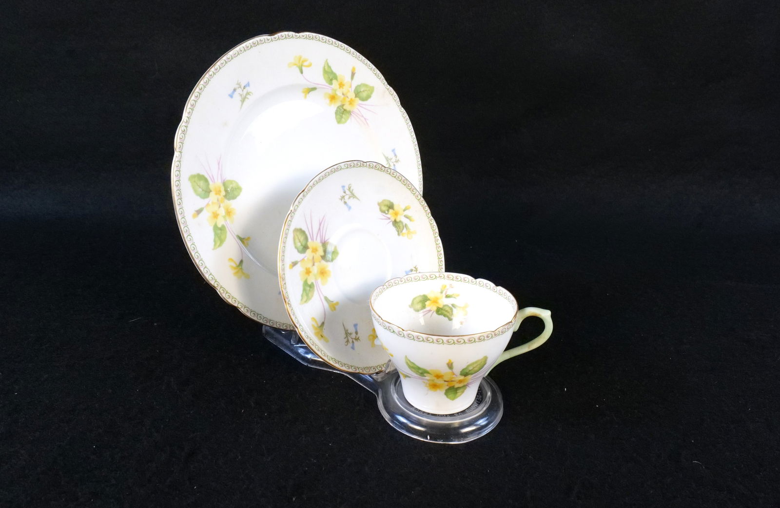 Shelley Primrose Bone China Teacup Trio (1 of 13)