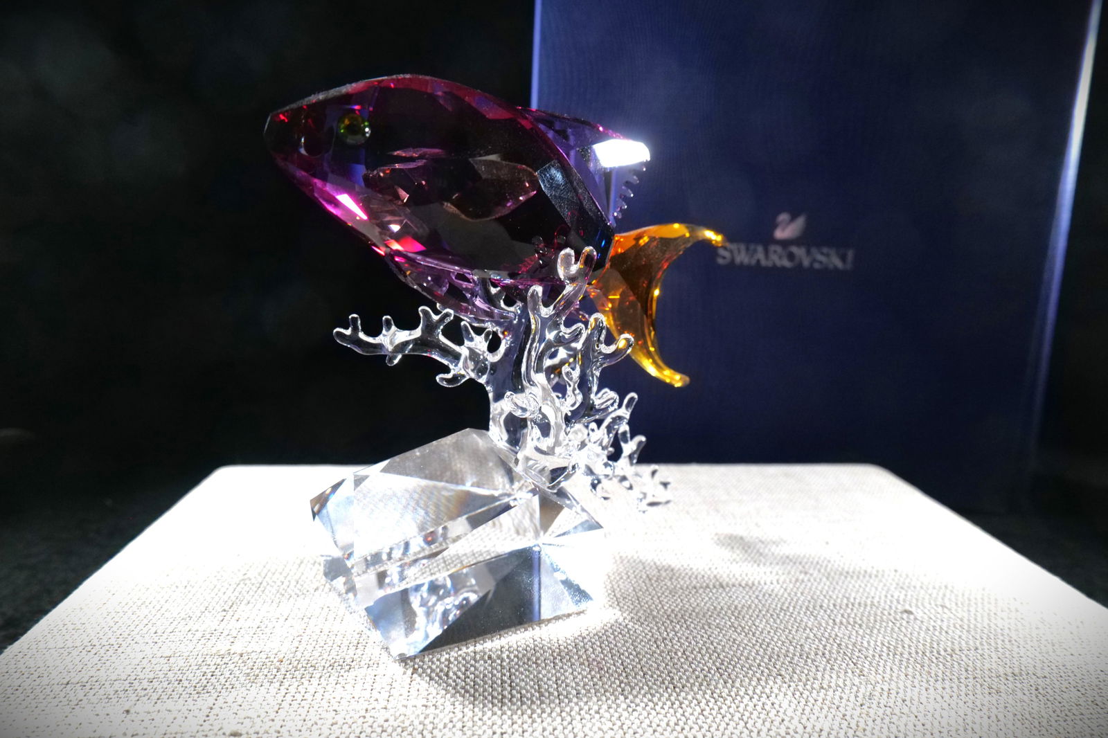Swarovski Crystal Paradise Anthias Fish Figurine: Swarovski Crystal Paradise Anthias Fish Figurine. Fuchsia and orange colored crystal on clear coral. Measures approx. 4.25" tall. All invoices must be paid within 24 hours of the sale. We offer multip