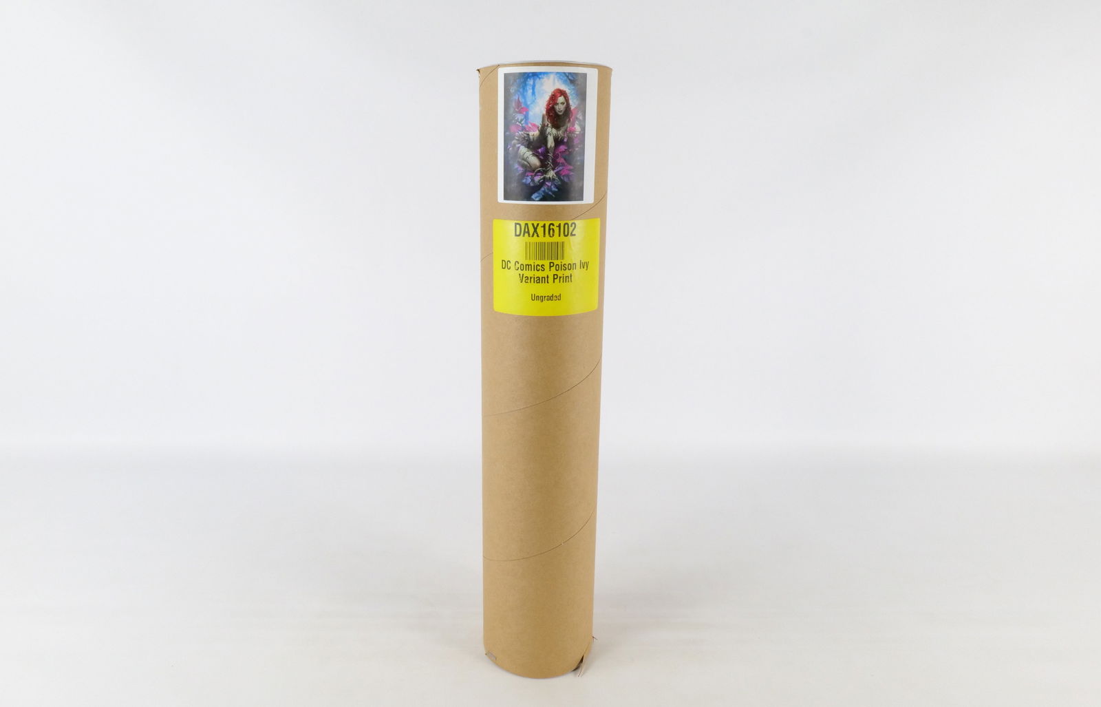 DC Comics Poison Ivy Variant Print: DC Comics Poison Ivy Variant Print. Sideshow. Sealed in Tube. All invoices must be paid within 24 hours of the sale. We offer multiple shipping options, please read the shipping terms to understand yo