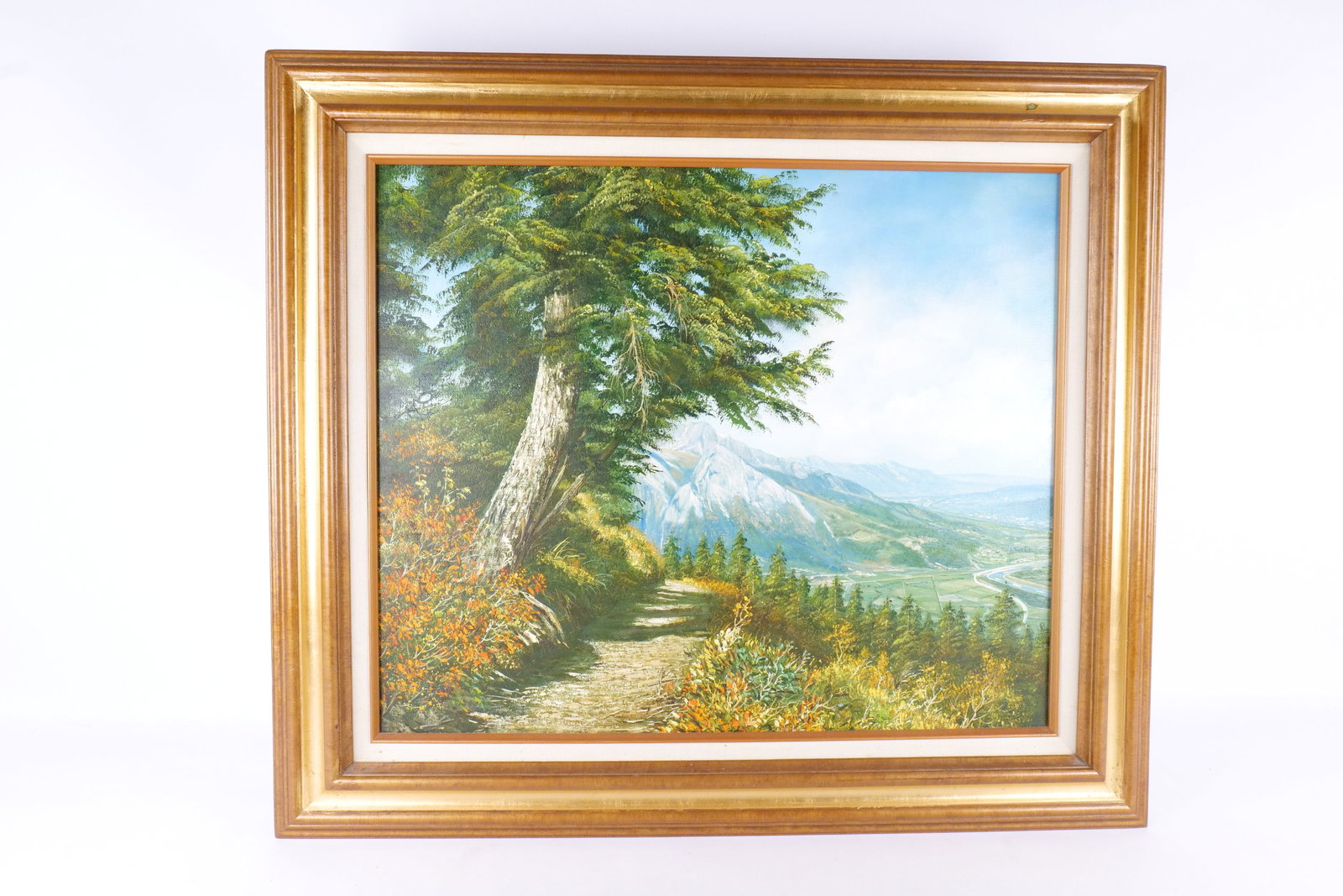 Oil on Canvas - European Mountain Scene: Oil on Canvas. Depicting a European Mountain Scene. Mid to late 20th Century. Measures 27" tall x 31" wide. All invoices must be paid within 24 hours of the sale. We offer multiple shipping options, p