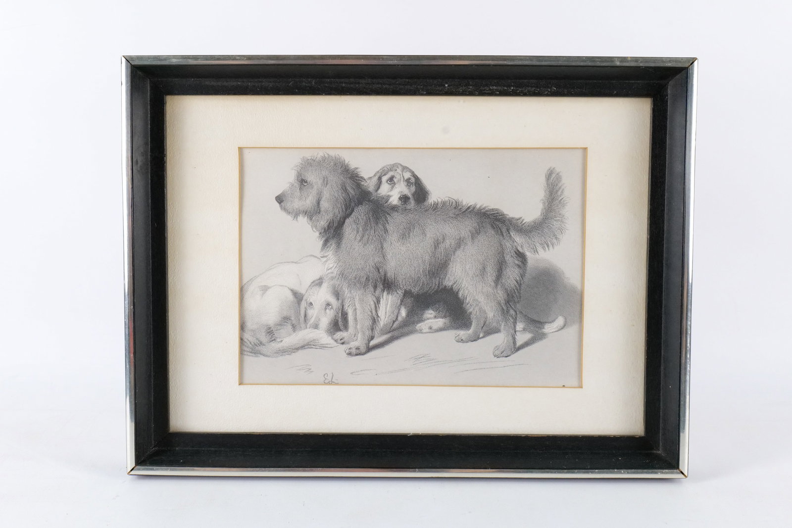 Vintage Etching by Sir Edwin Landseer - Canine Portrait (1 of 9)