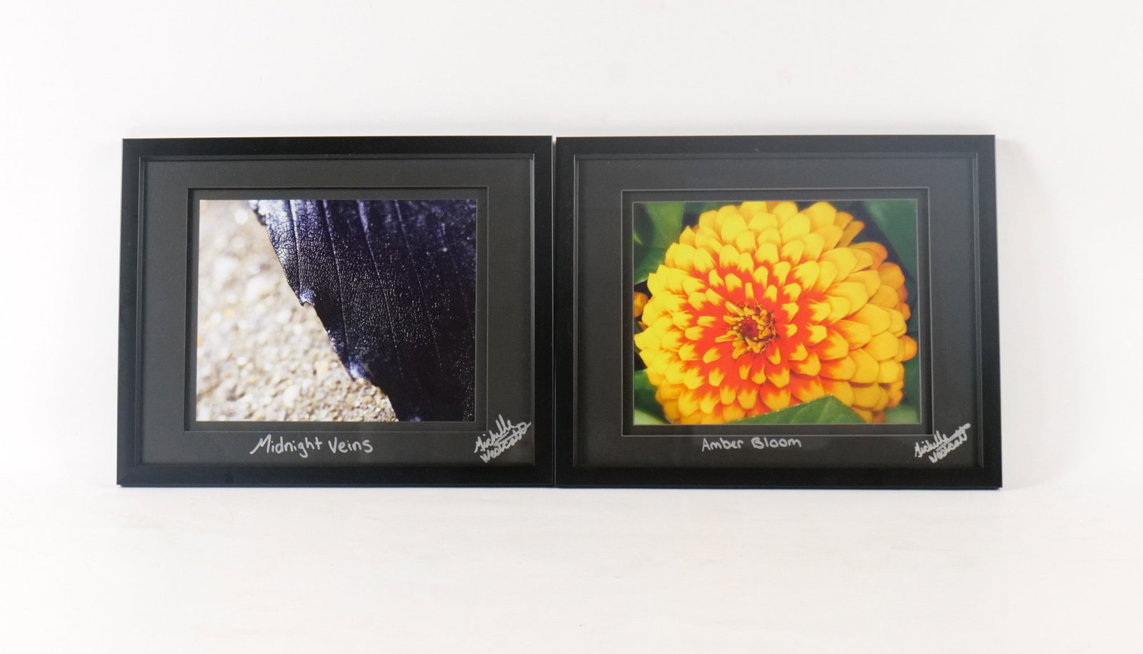 Lot of 2 Still Life Photographs: Lot of 2 Still Life Photographs. Signed by the Award Winning Photographer - Michelle Westcott. Entitled "Amber Bloom" and "Midnight Veins". Framed and Matted. Measures 12.25" tall x 15.25" wide. All i