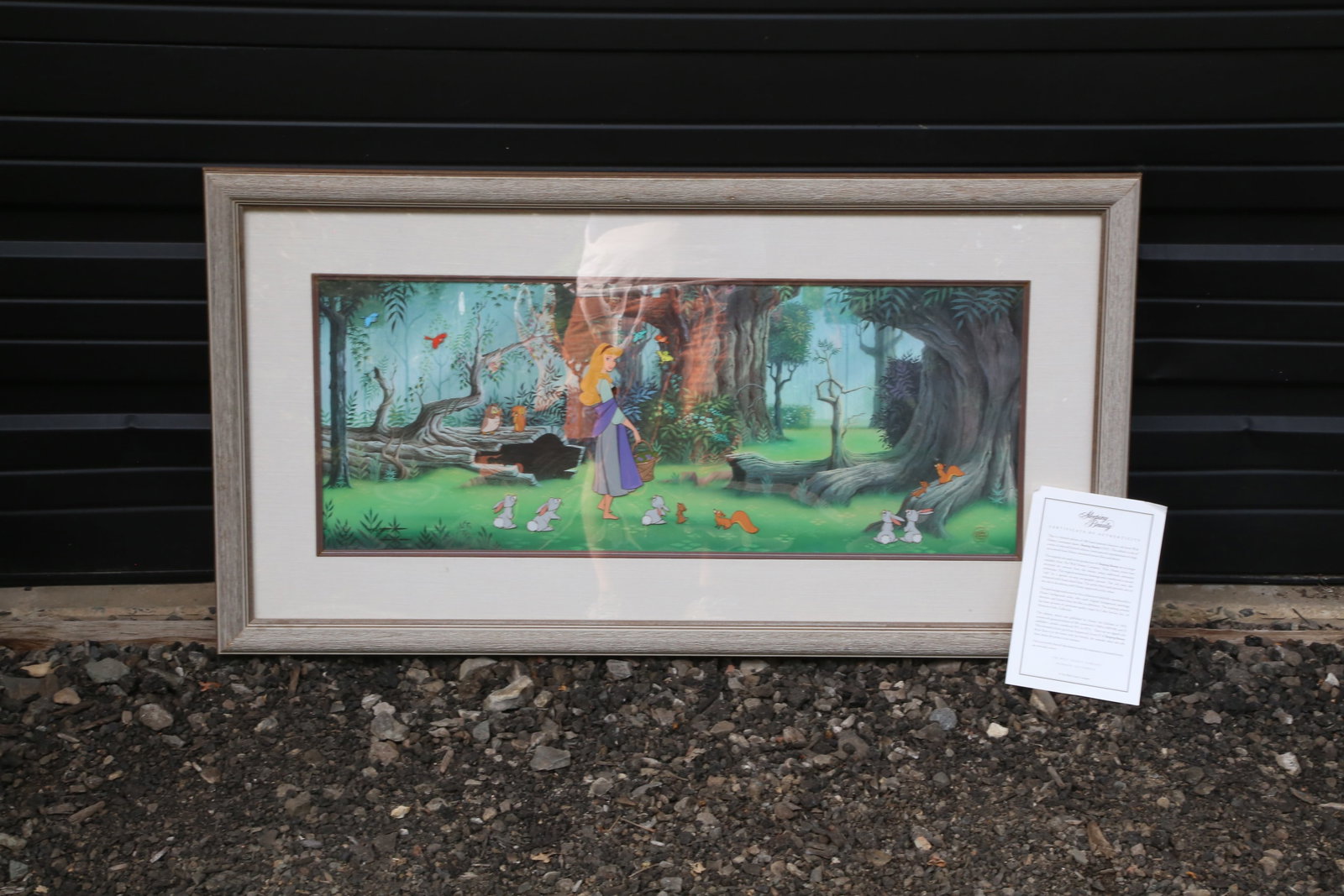 Disney Sleeping Beauty Hand Painted Character Cel: Disney Sleeping Beauty Hand Painted Character Cel. Depicting Sleeping Beauty in the forest. Limited Edition #453 of 500. Walt Disney Gold Seal on the bottom right. Comes with COA. Framed and Matted. M