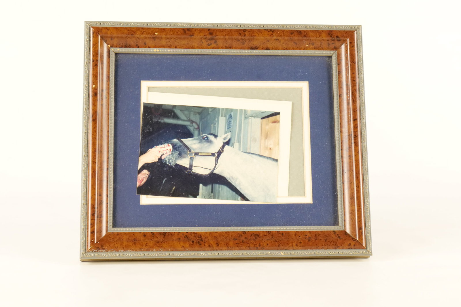 Equestrian Artwork - 2