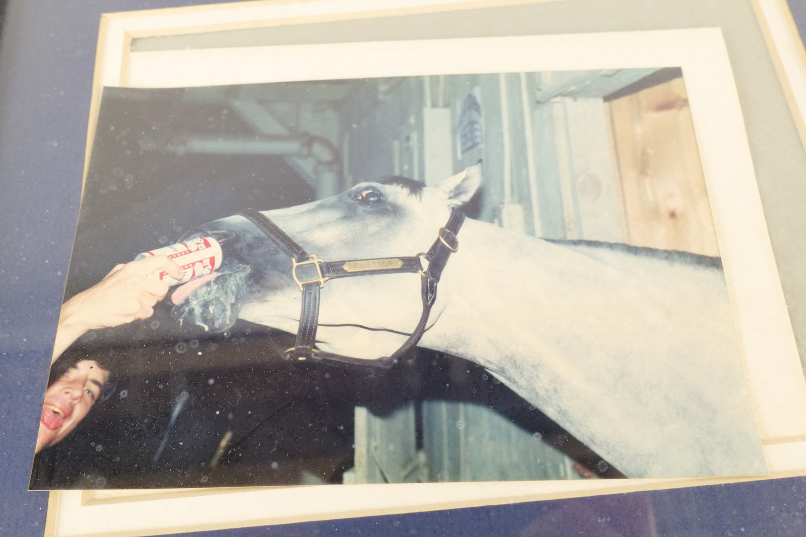 Equestrian Artwork - 3