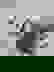 item-806109=2