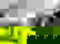 item-806109=4
