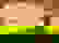 item-806204=5