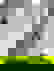 item-907927=4
