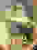 item-1693236=2