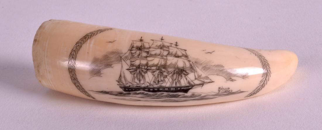 A GOOD 19TH CENTURY CARVED SCRIMSHAW TOOTH well etched: A GOOD 19TH CENTURY CARVED SCRIMSHAW TOOTH well etched with a boat in full sail. Signed. 3.25ins wide.
