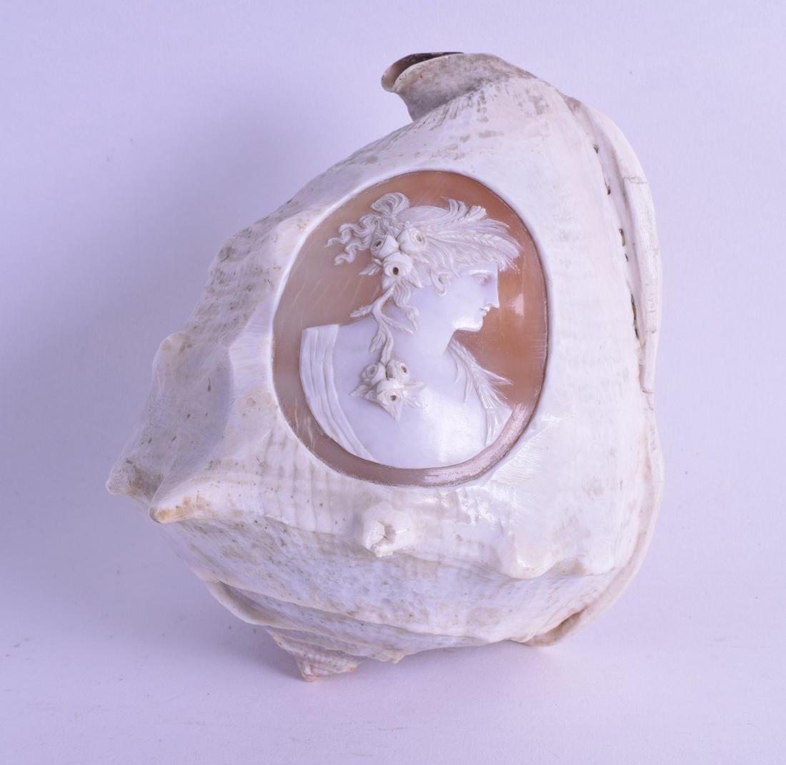 AN ANTIQUE CARVED EUROPEAN CAMEO SHELL decorated with a (1 of 1)