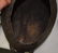 A GOOD ANTIQUE AFRICAN BENIN BRONZE MASK modelled in - 5