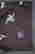 item-54377657=4